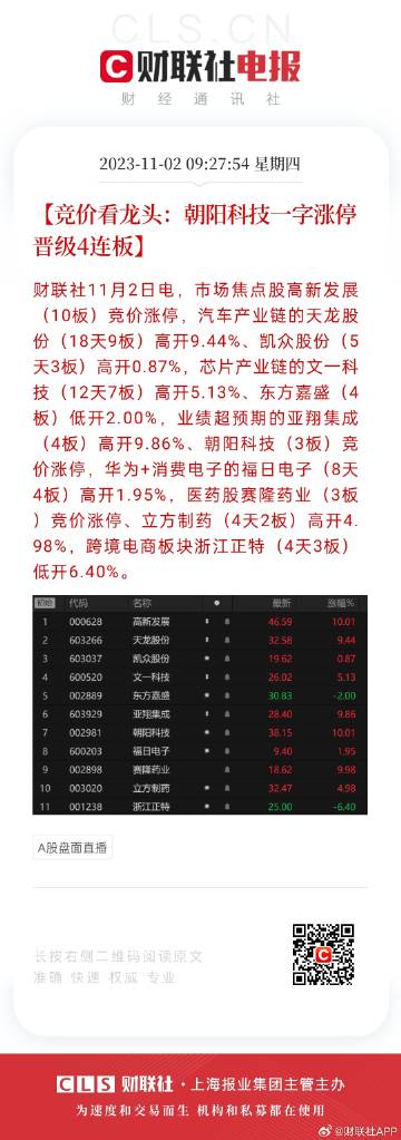 興鴻文 第3頁