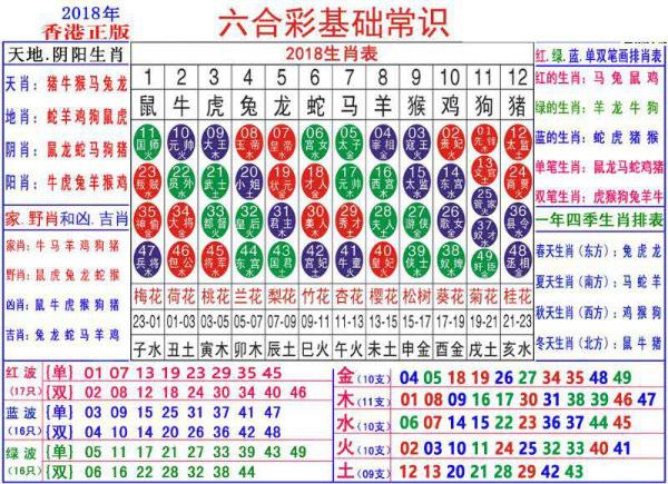 澳門正版資料大全資料生肖卡｜實地驗證數(shù)據(jù)策略