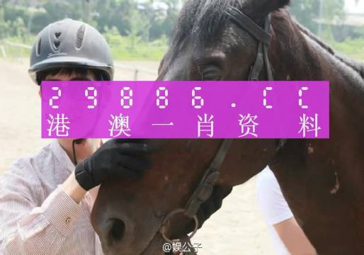 澳門最最準(zhǔn)一肖一碼,效能解答解釋落實