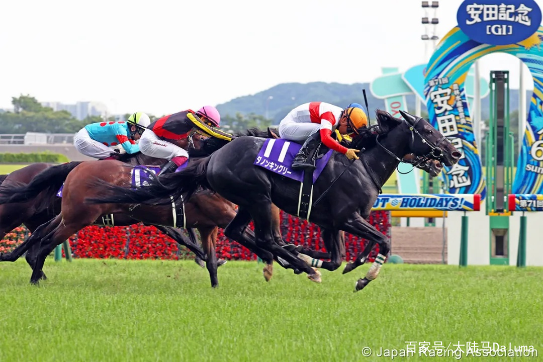 香港特馬資料王中王,高效說明解析_可調(diào)型39.029