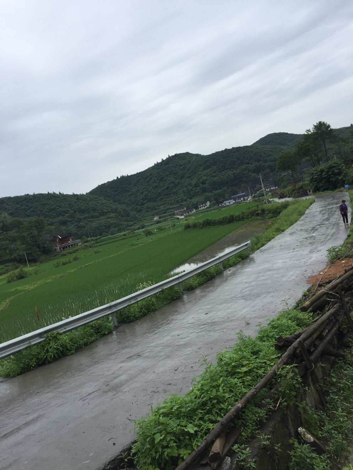 銀溪村最新天氣預(yù)報(bào)概覽