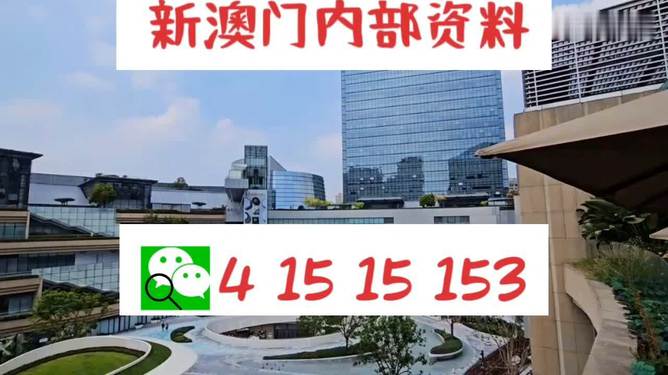 澳門必中一碼內部公開,快捷問題處理方案