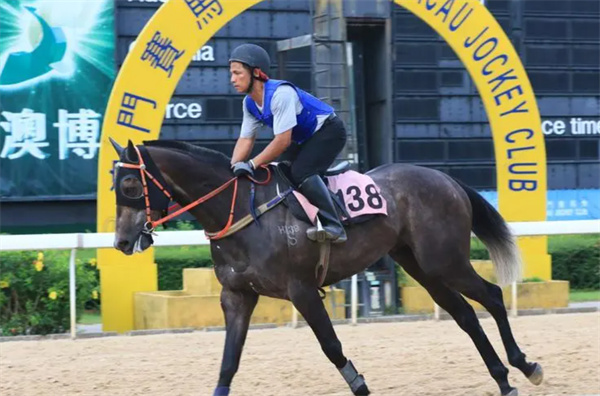 澳門今晚開特馬+開獎結(jié)果課優(yōu)勢,詳細解讀定義方案_手游版22.702