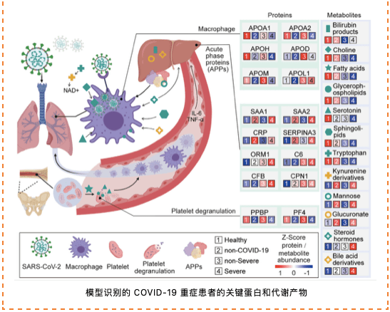 微生物最新研究