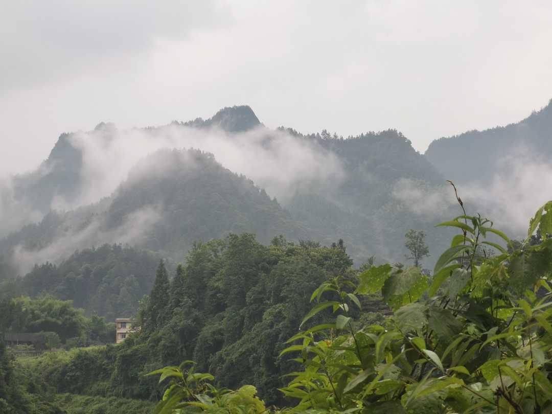 白云村委會最新動態(tài)報道