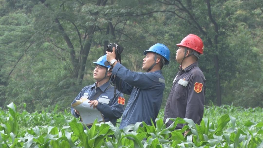 白山市市供電局最新項(xiàng)目概覽，探索電力發(fā)展的前沿動態(tài)