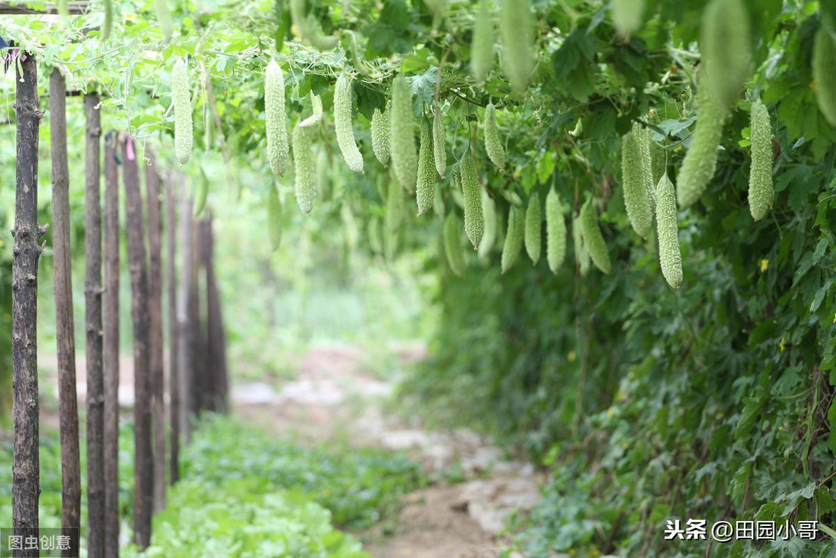 小水鎮(zhèn)最新天氣預(yù)報(bào)概覽