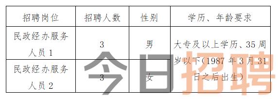 成都市司法局最新招聘信息詳解，崗位、要求與申請指南