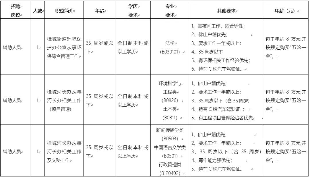 桂城最新招聘信息全面概覽