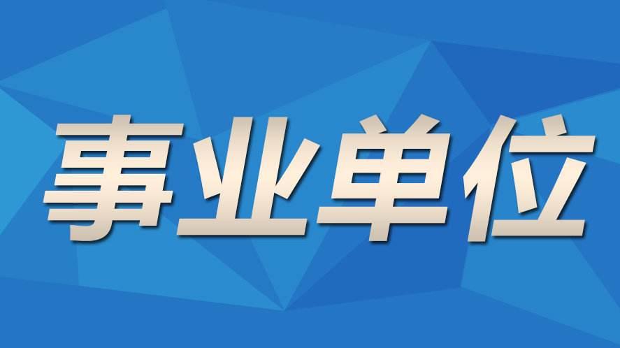 伊犁最新招聘信息全面概覽