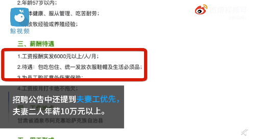 攜手共創(chuàng)美好未來，最新夫妻工招聘啟事，探尋最佳合作伙伴，共赴美好未來之路。