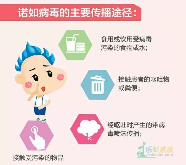 關(guān)于最新病毒防范的指南與措施