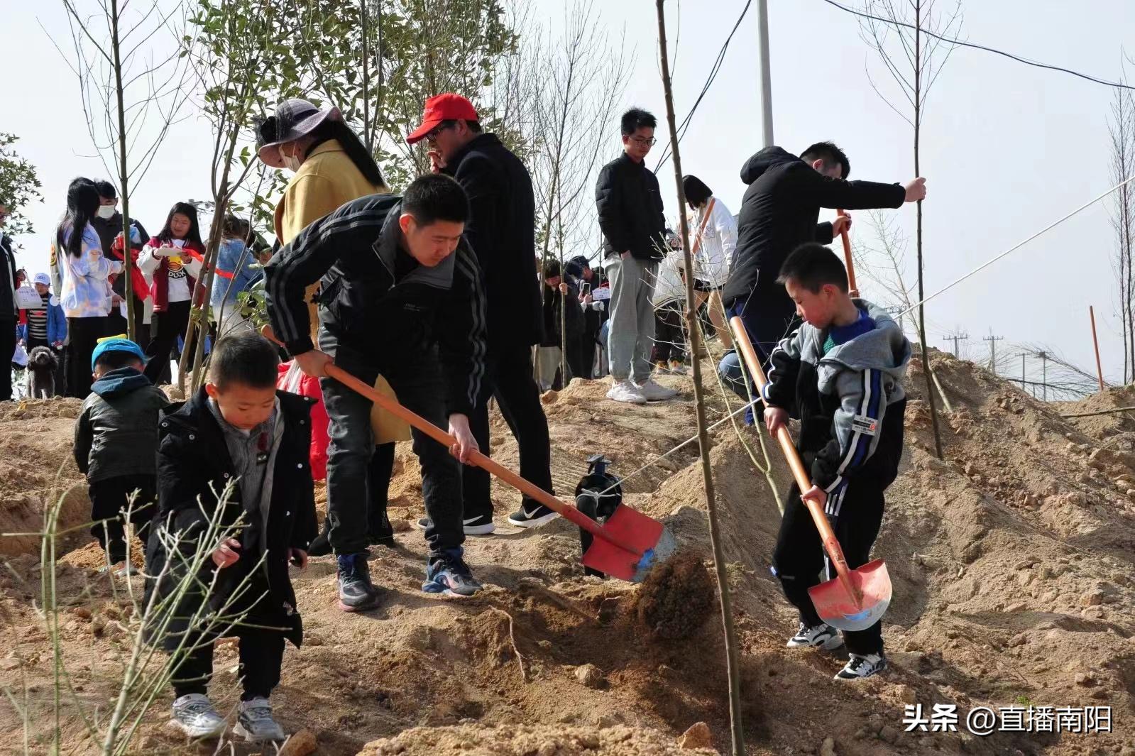 臥龍區(qū)計(jì)劃生育委員會(huì)最新領(lǐng)導(dǎo)團(tuán)隊(duì)亮相，工作展望與領(lǐng)導(dǎo)力量展示