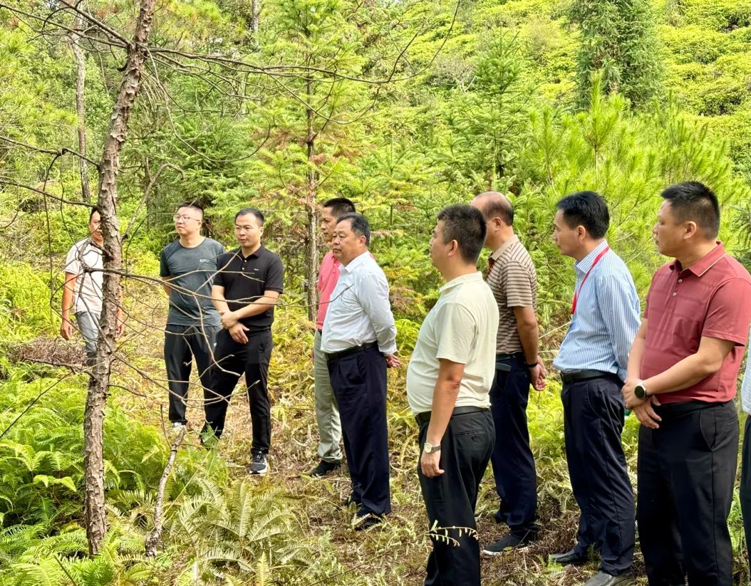 连山林场新任领导团队引领未来发展新篇章